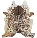 El Ascenso Inigualable de Coco Gauff: Análisis de su Equipamiento y Comparativa de Raquetas que Potencian su Éxito