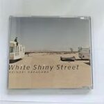 Brillando en la Cancha: Análisis de los Mejores Productos de Deporte de Raqueta para el 'Shiny Street'